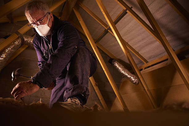 Types of Insulation We Offer in Hogansville, GA